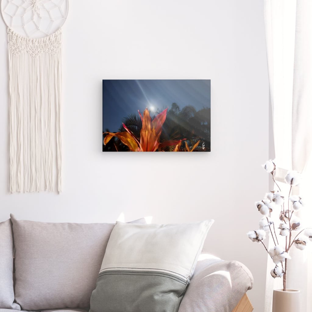 MP.24.007 Canvas