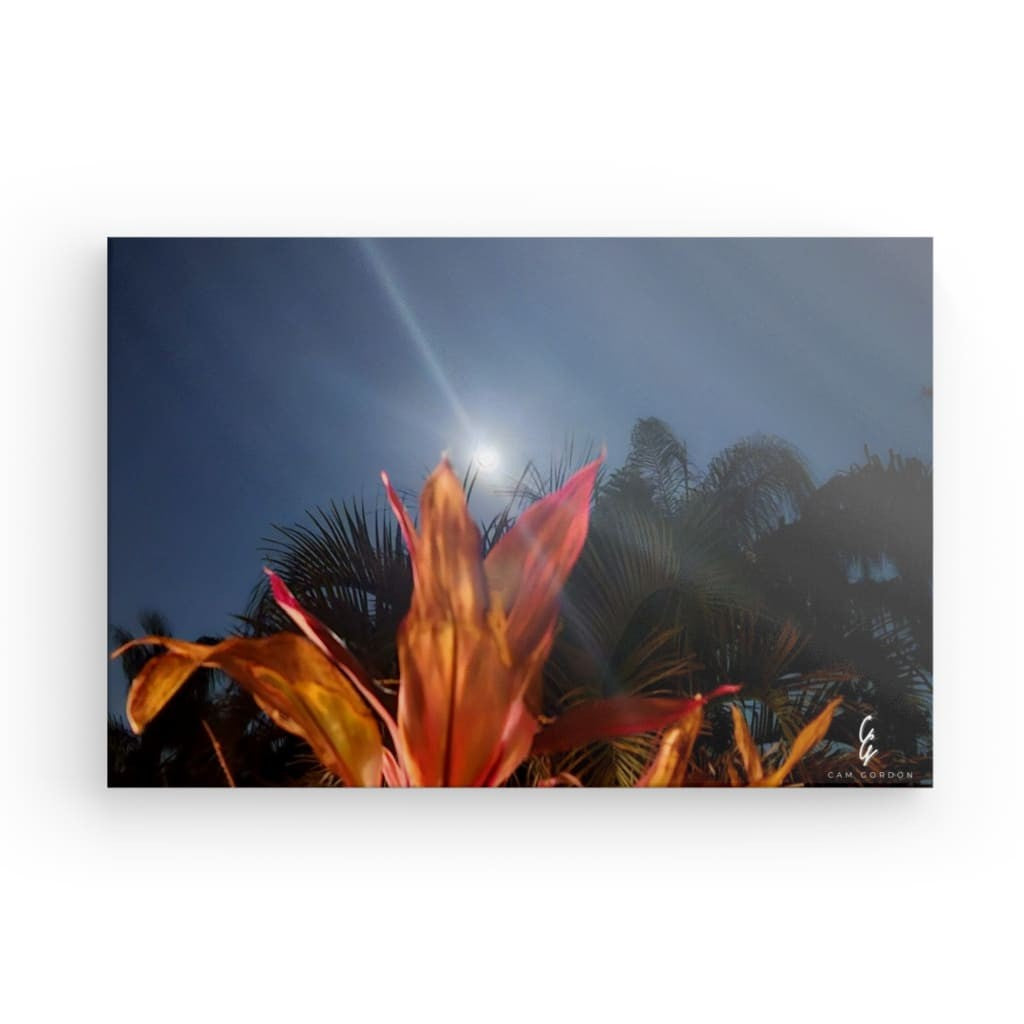 MP.24.007 Canvas