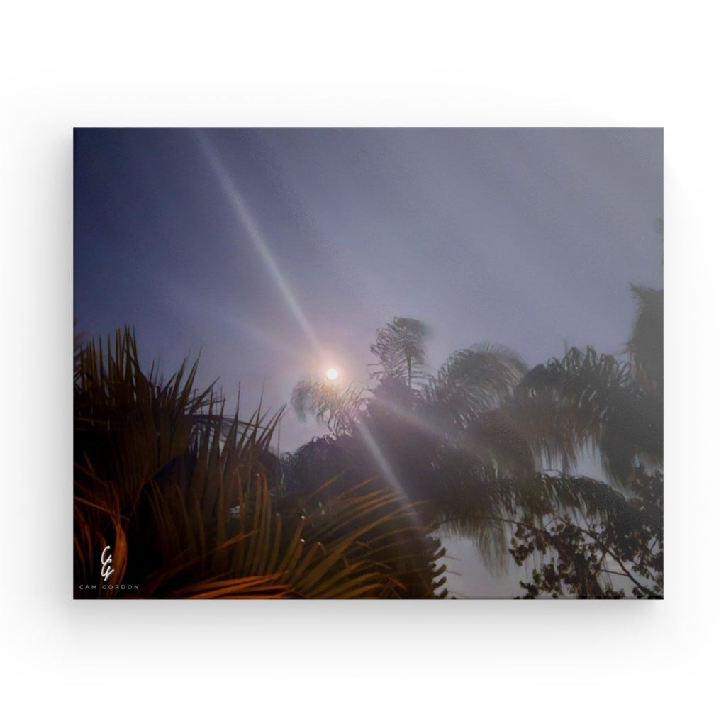 MP.24.008 Canvas