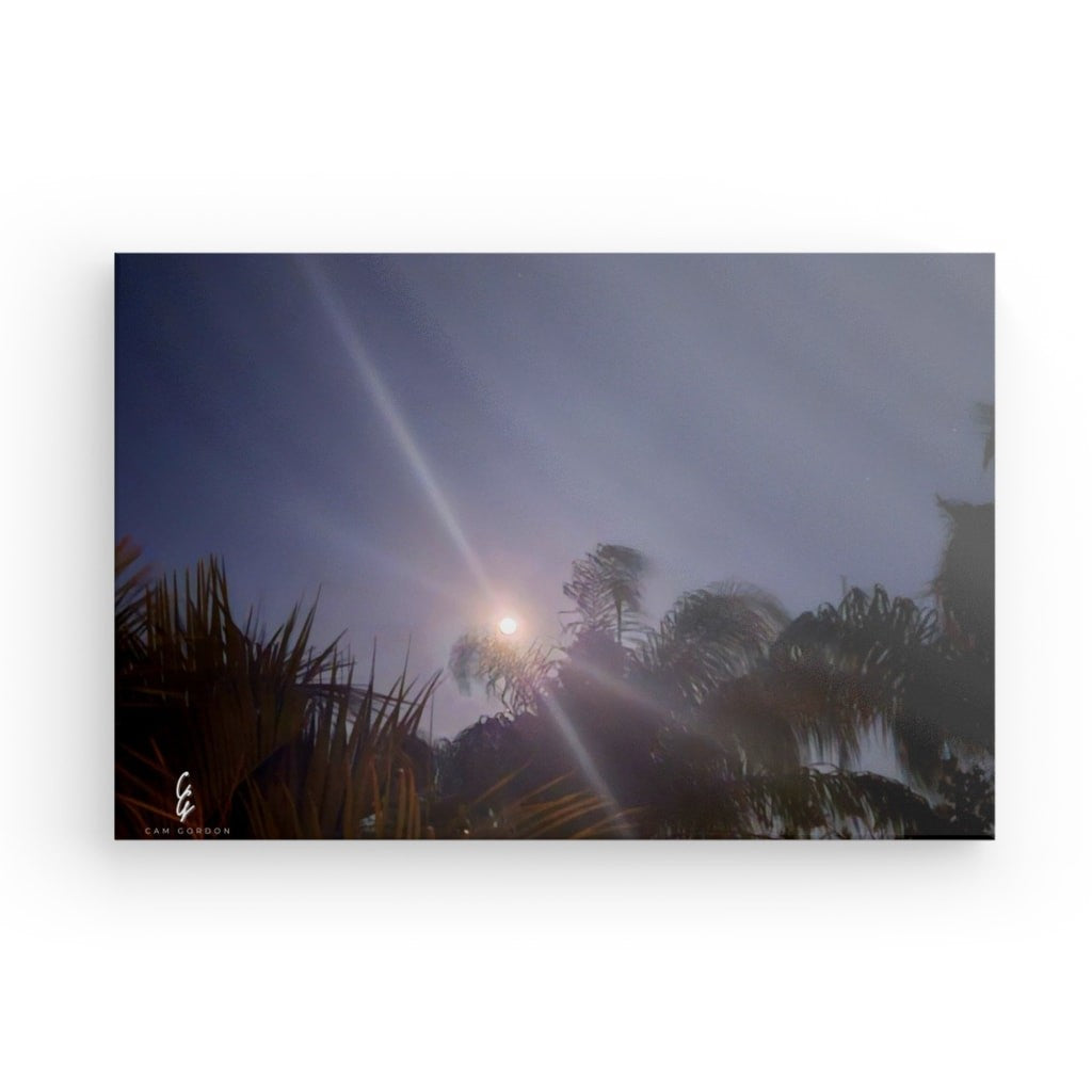 MP.24.008 Canvas