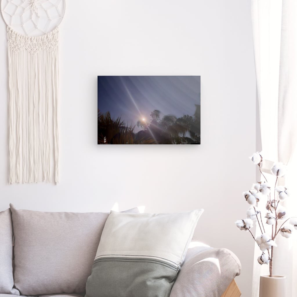 MP.24.008 Canvas