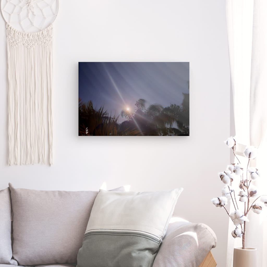 MP.24.008 Canvas