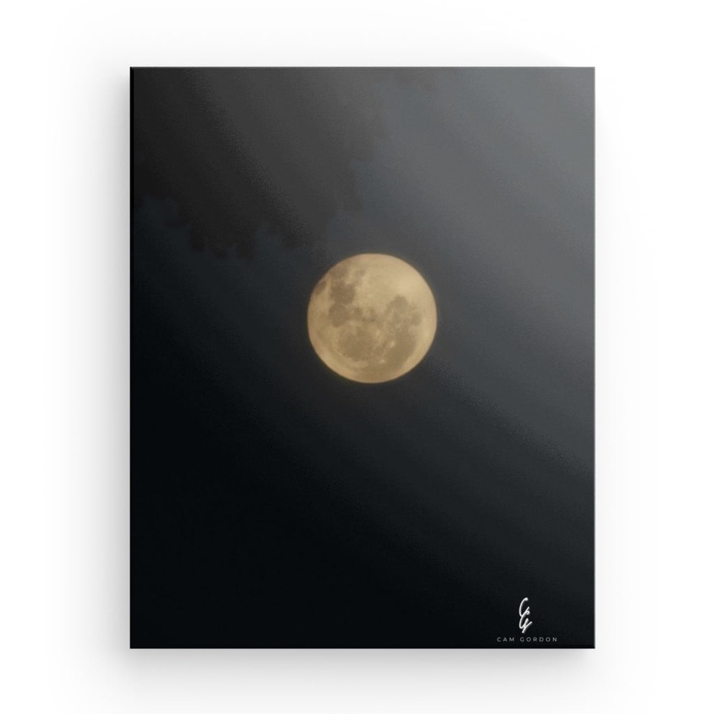 MP.24.009 Canvas