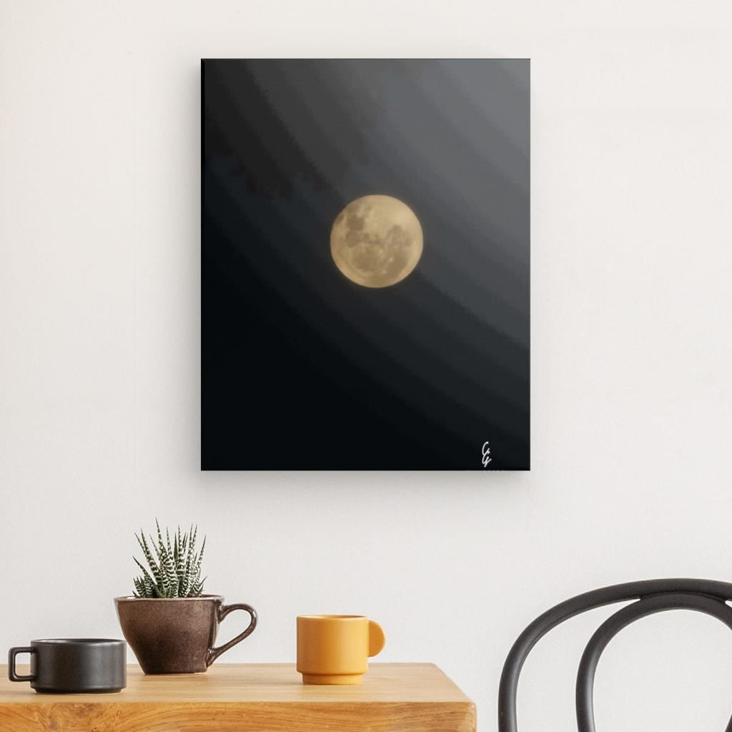 MP.24.009 Canvas