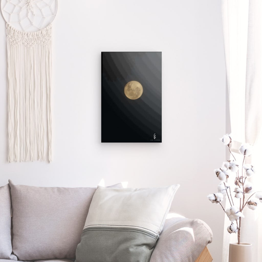 MP.24.009 Canvas