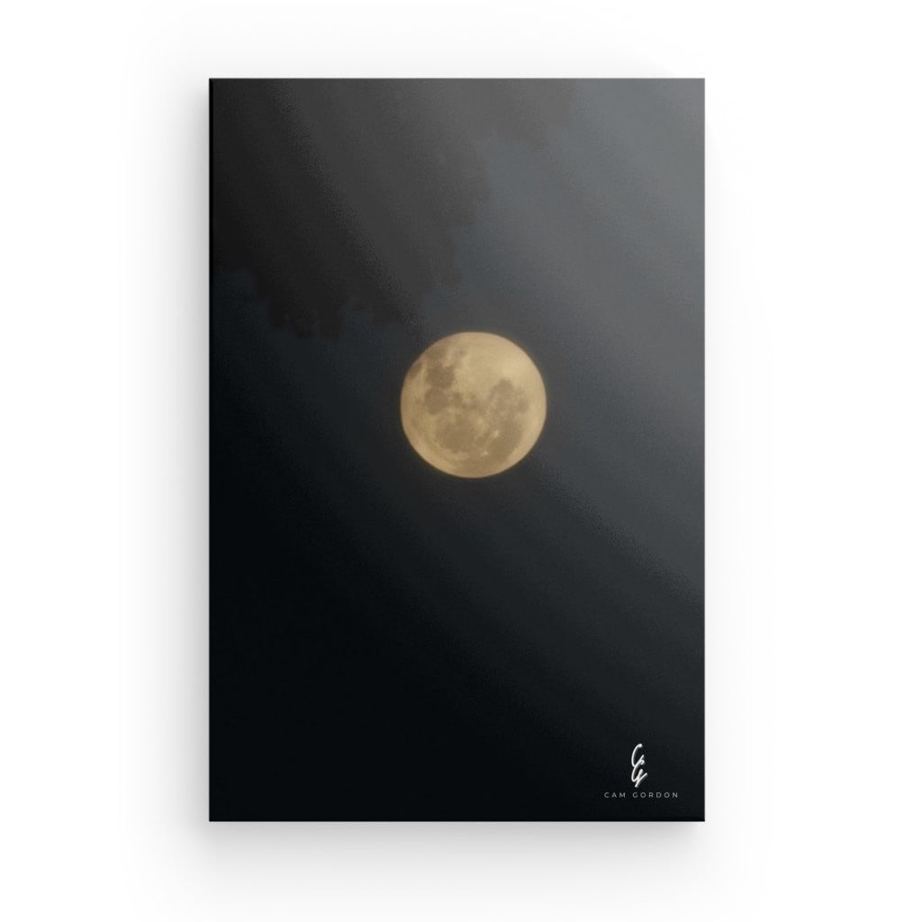MP.24.009 Canvas