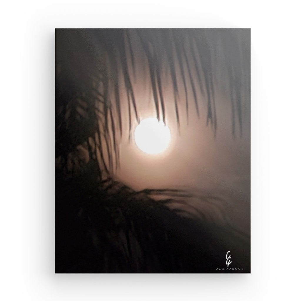 MP.24.010 Canvas