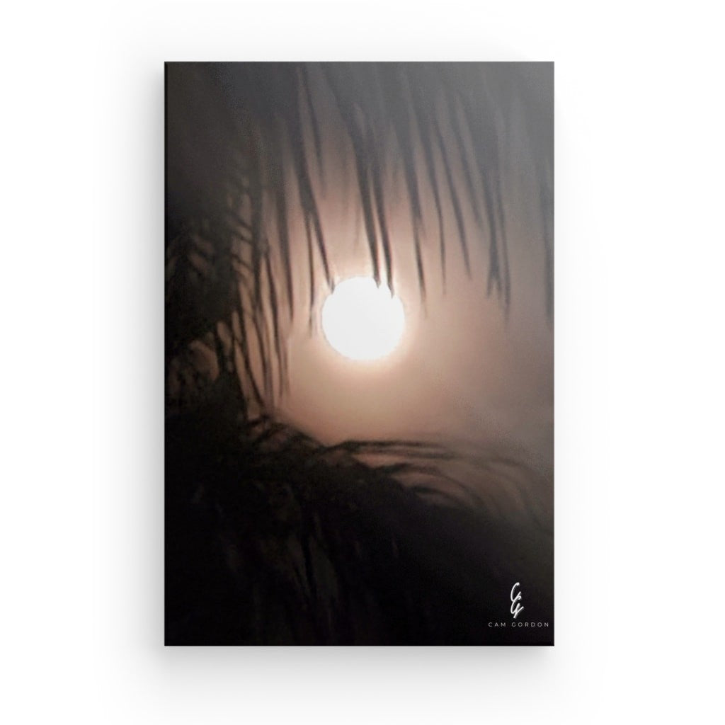 MP.24.010 Canvas