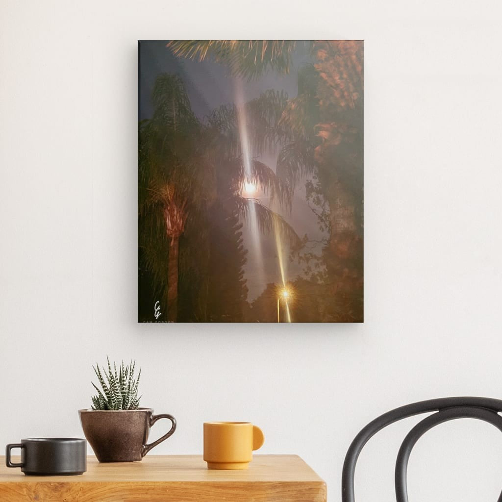 MP.24.011 Canvas
