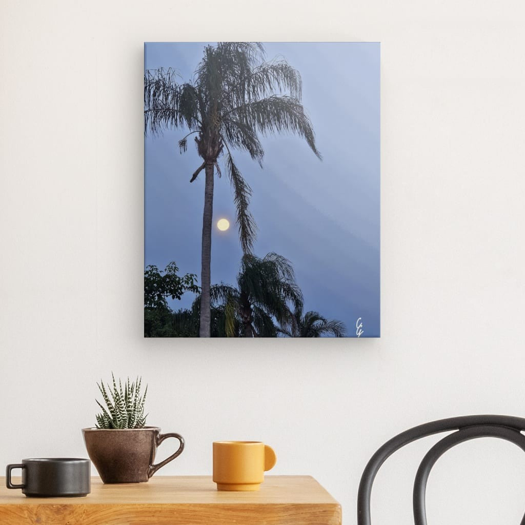 MP.24.012 Canvas