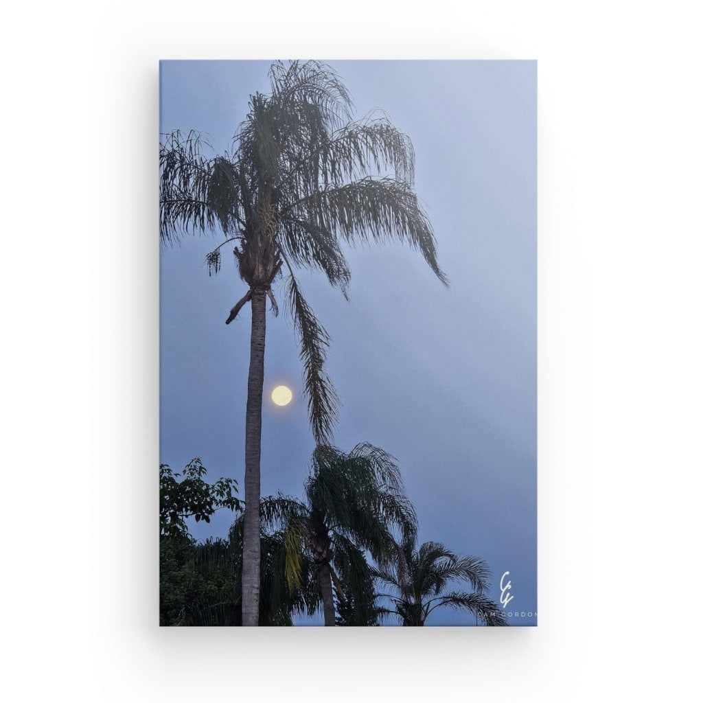 MP.24.012 Canvas