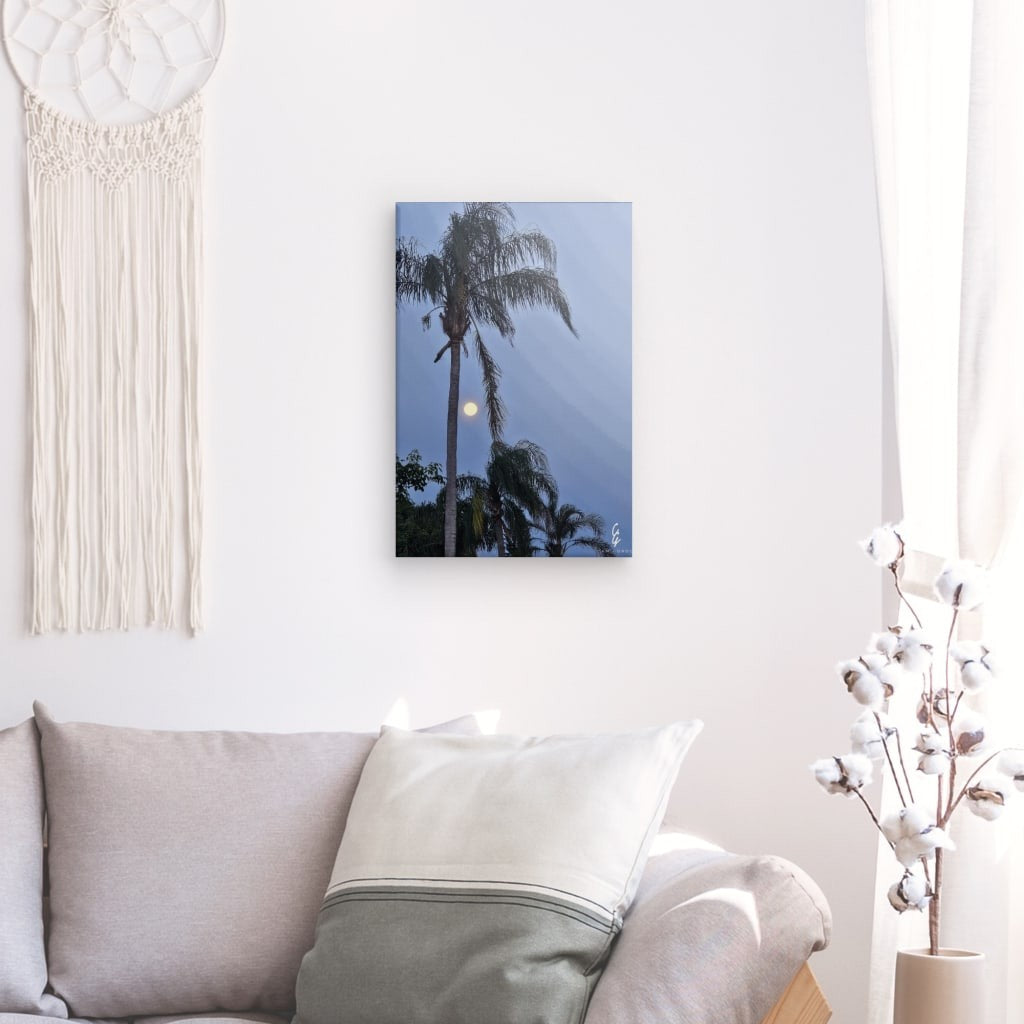 MP.24.012 Canvas