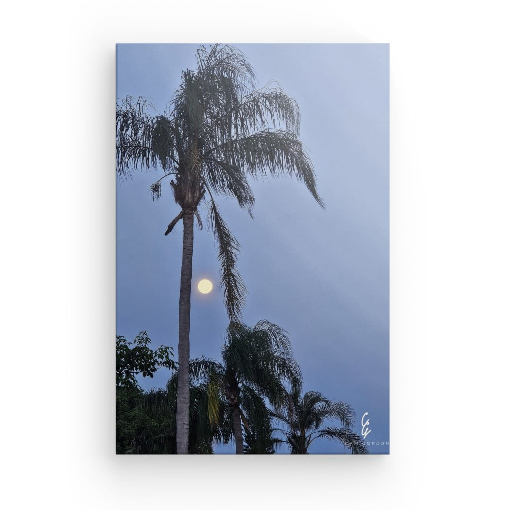 MP.24.012 Canvas