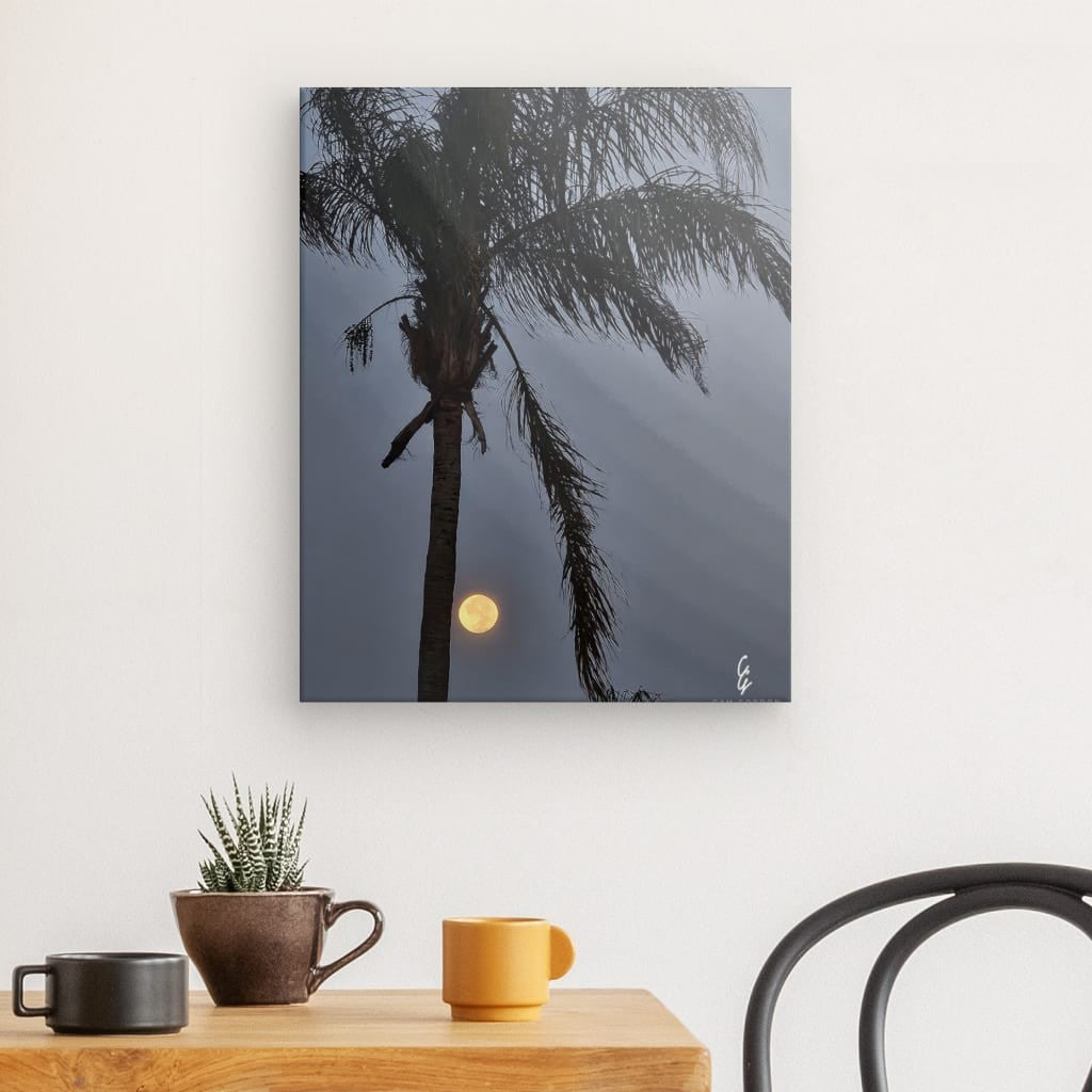 MP.24.013 Canvas