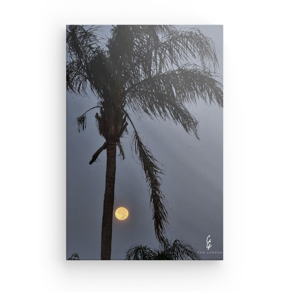 MP.24.013 Canvas