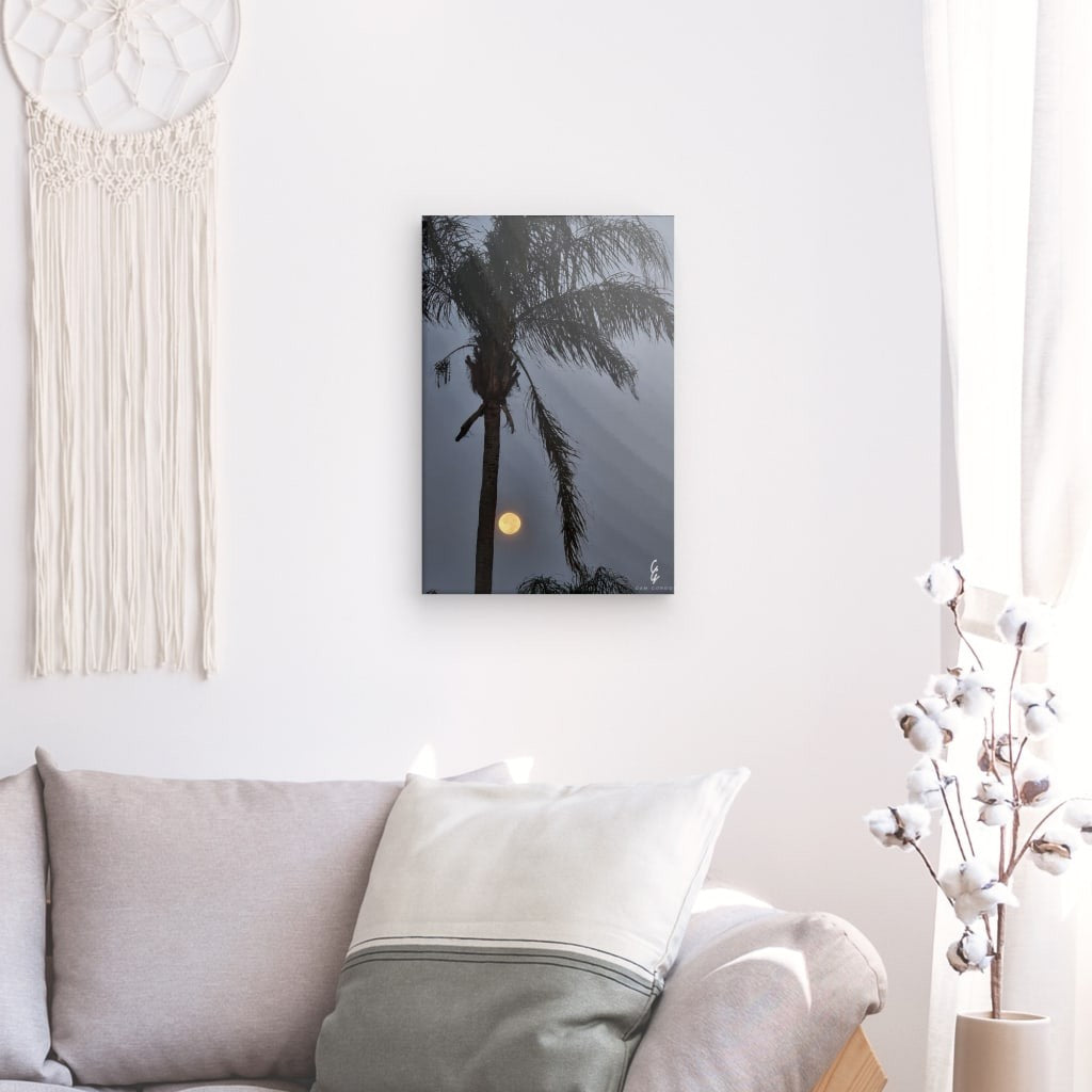 MP.24.013 Canvas
