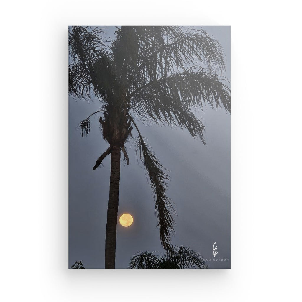 MP.24.013 Canvas
