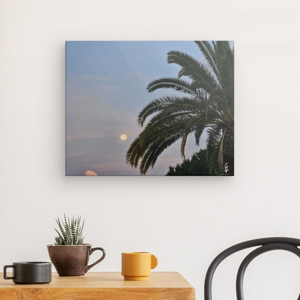 MP.24.014 Canvas