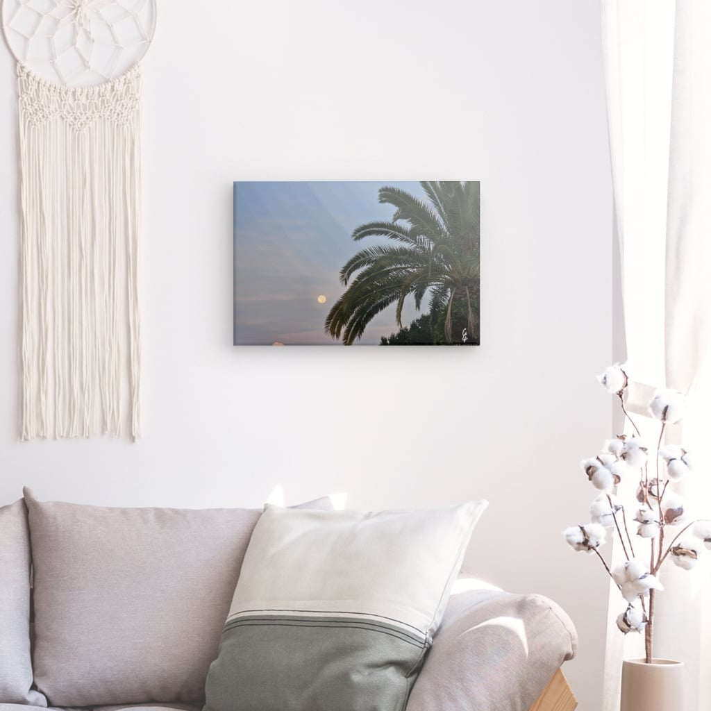 MP.24.014 Canvas