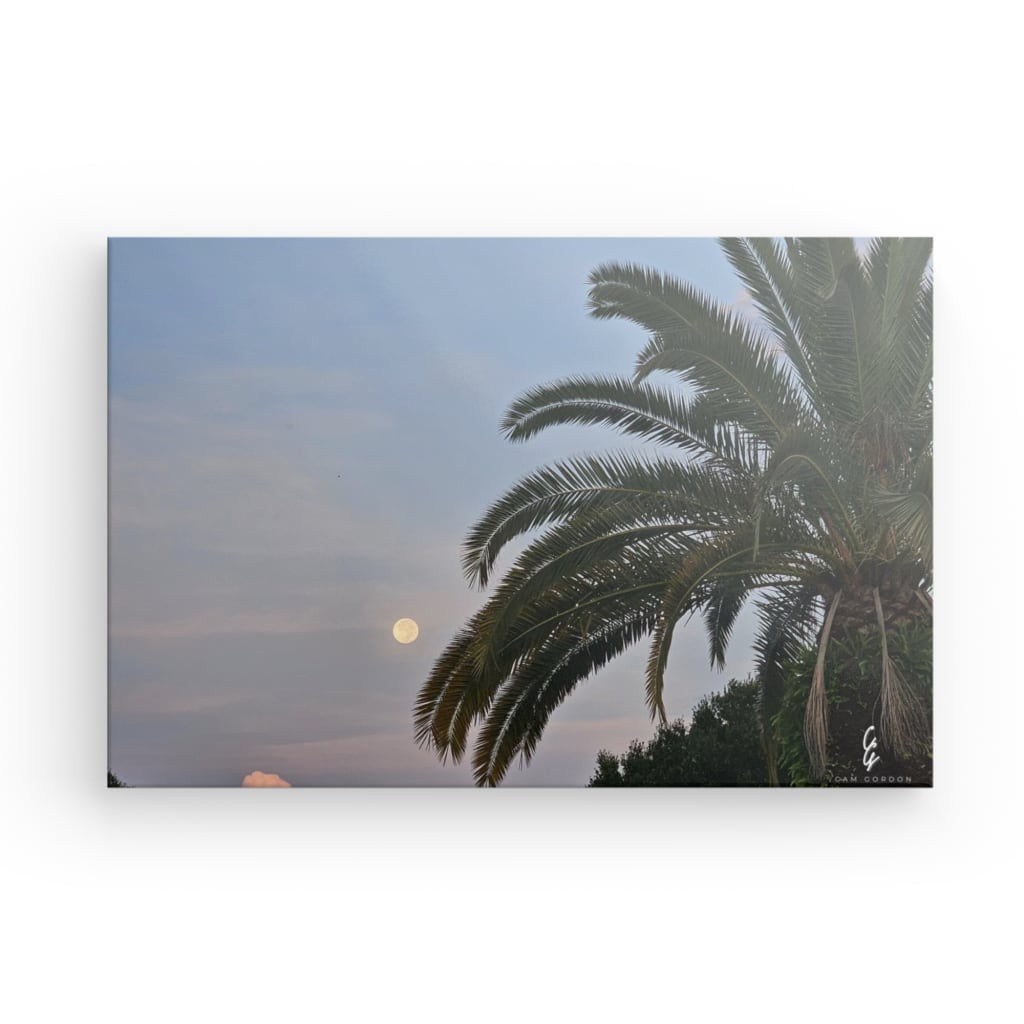 MP.24.014 Canvas