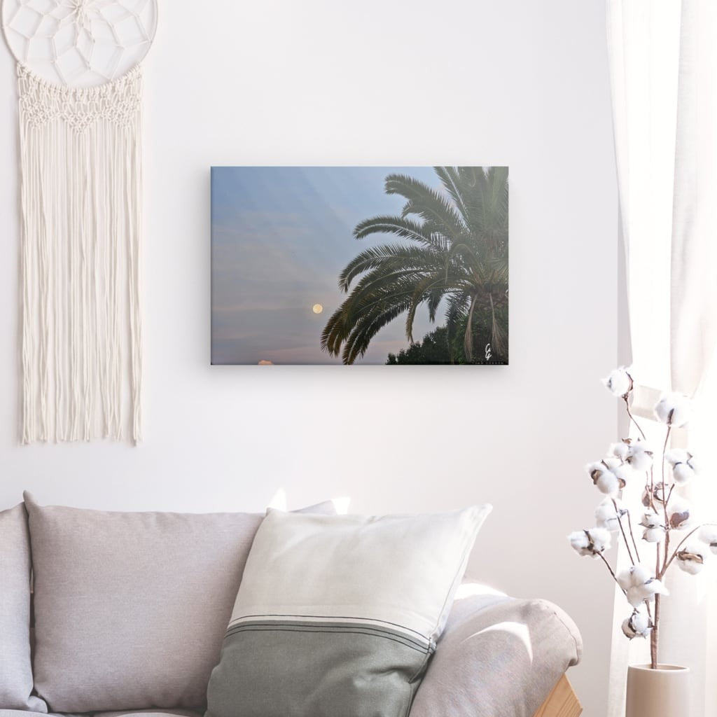 MP.24.014 Canvas