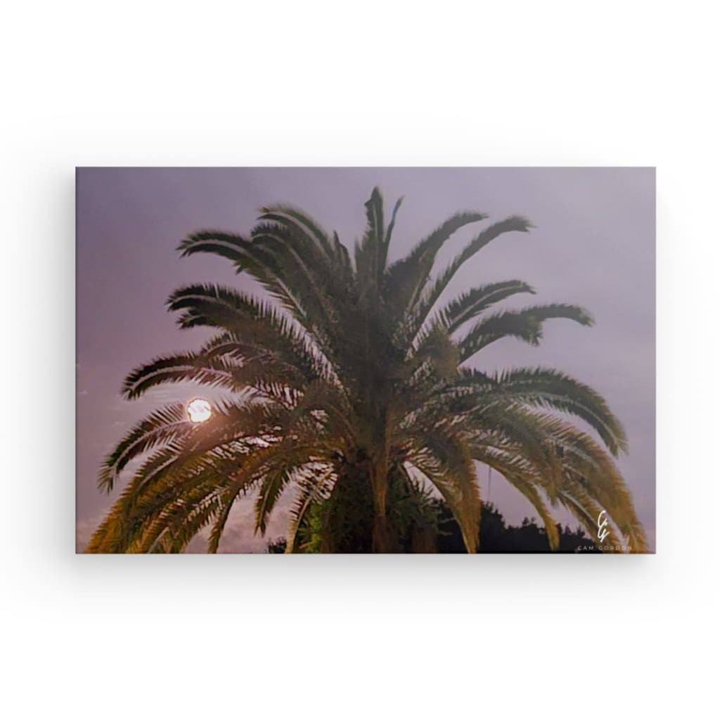 MP.24.017 Canvas
