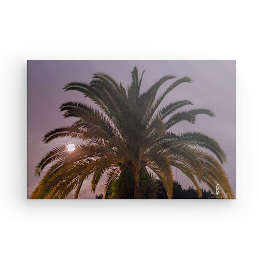 MP.24.017 Canvas
