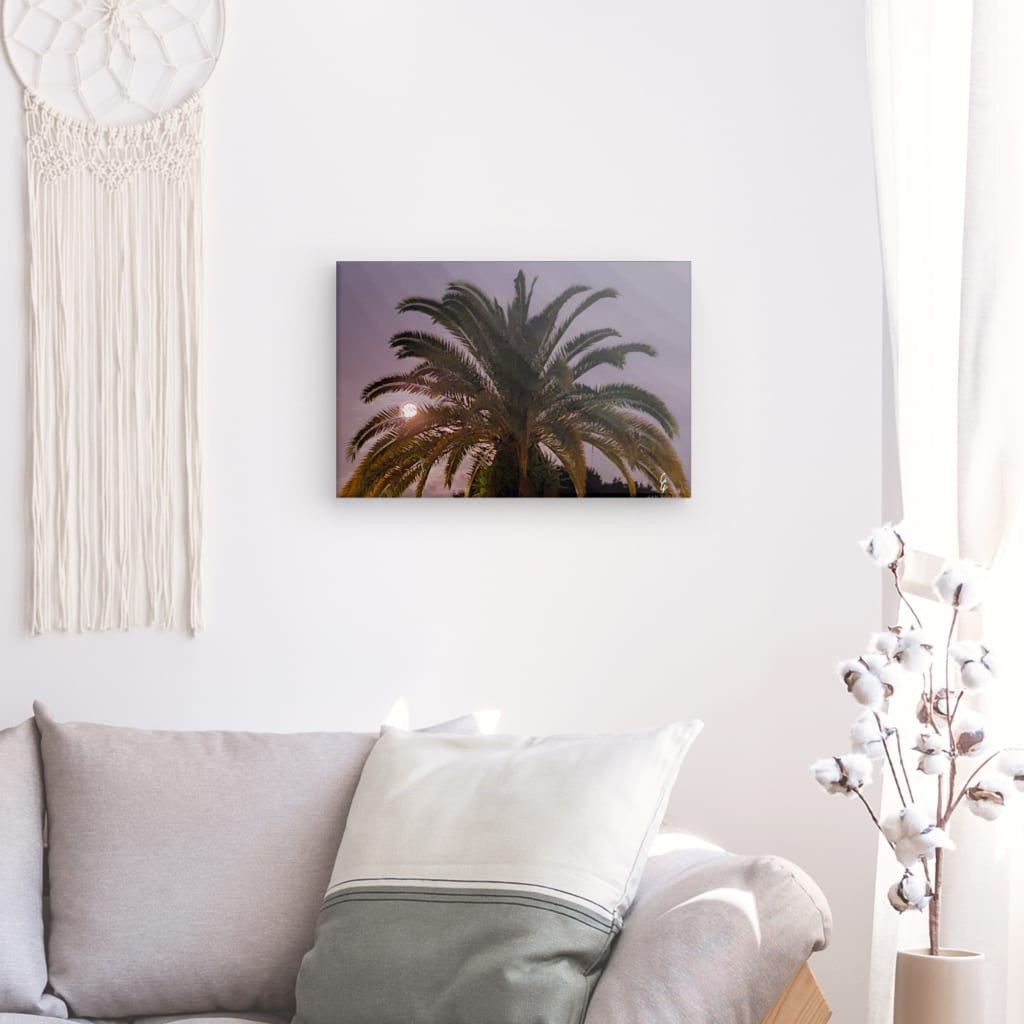 MP.24.017 Canvas