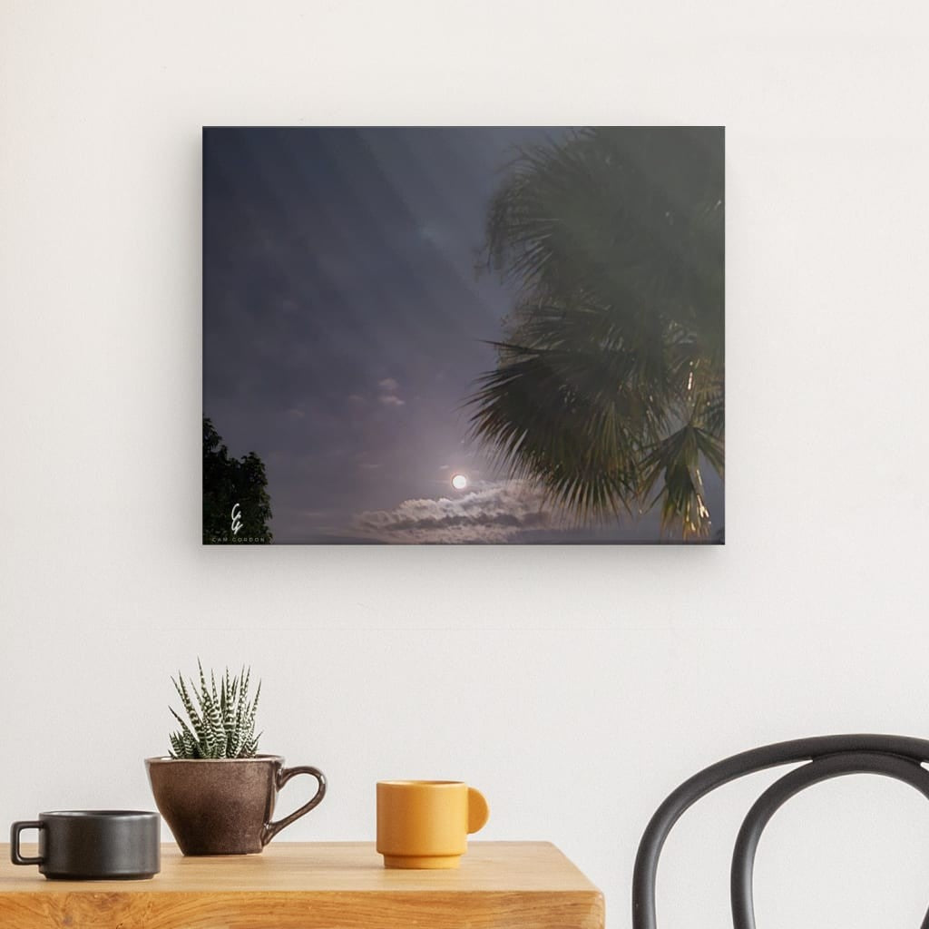 MP.24.018 Canvas