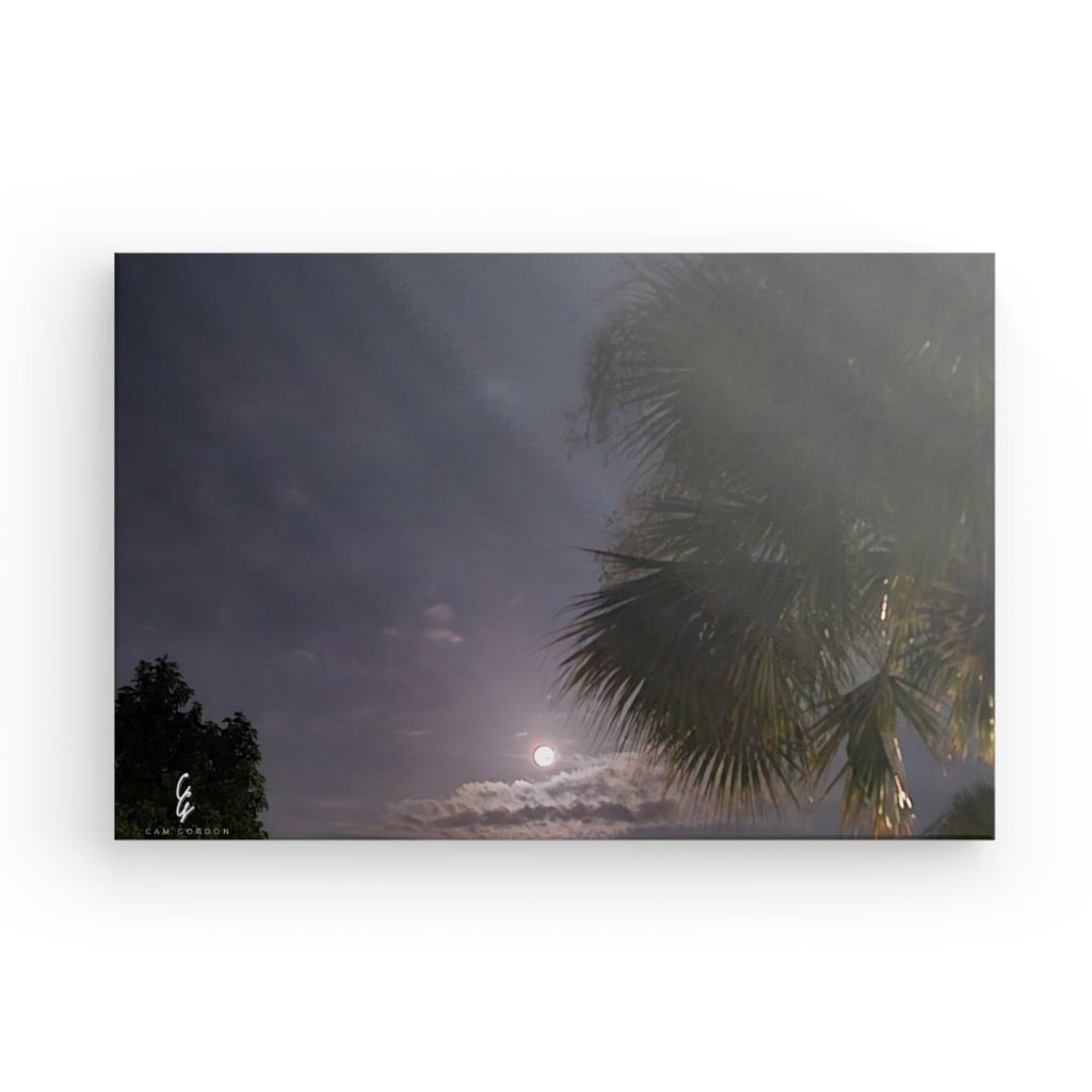 MP.24.018 Canvas