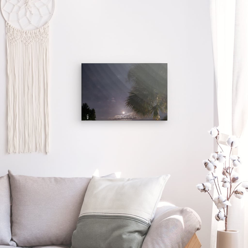 MP.24.018 Canvas