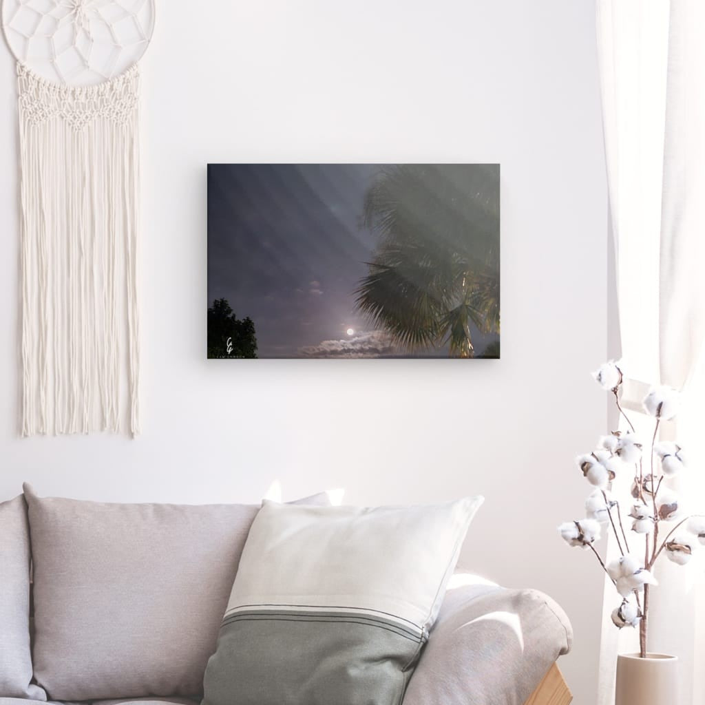 MP.24.018 Canvas