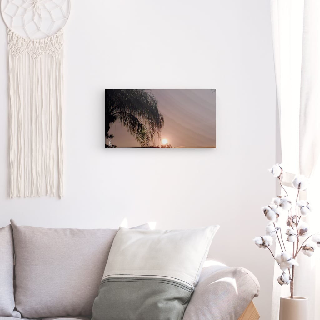 MP.24.019 Canvas