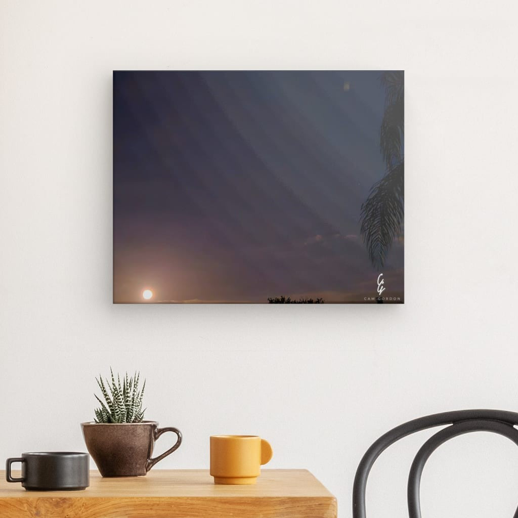 MP.24.020 Canvas