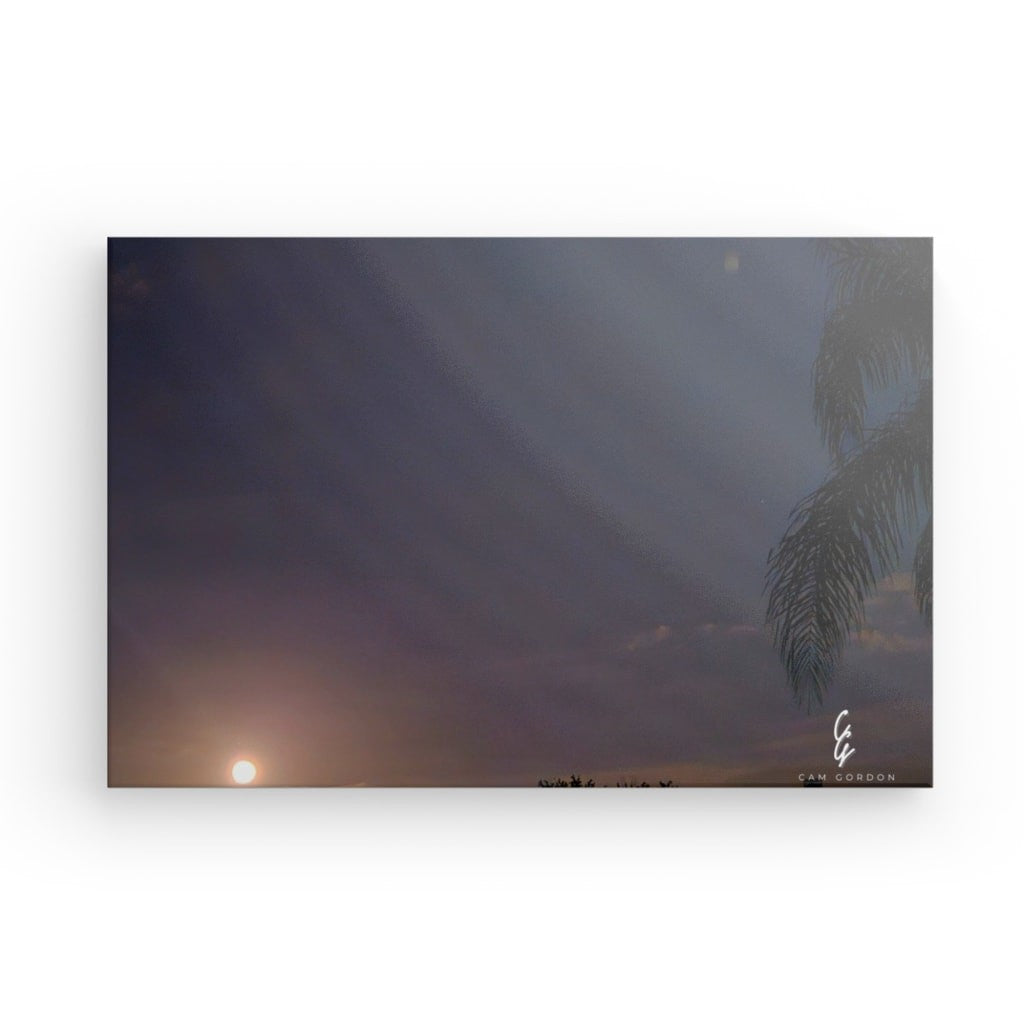MP.24.020 Canvas