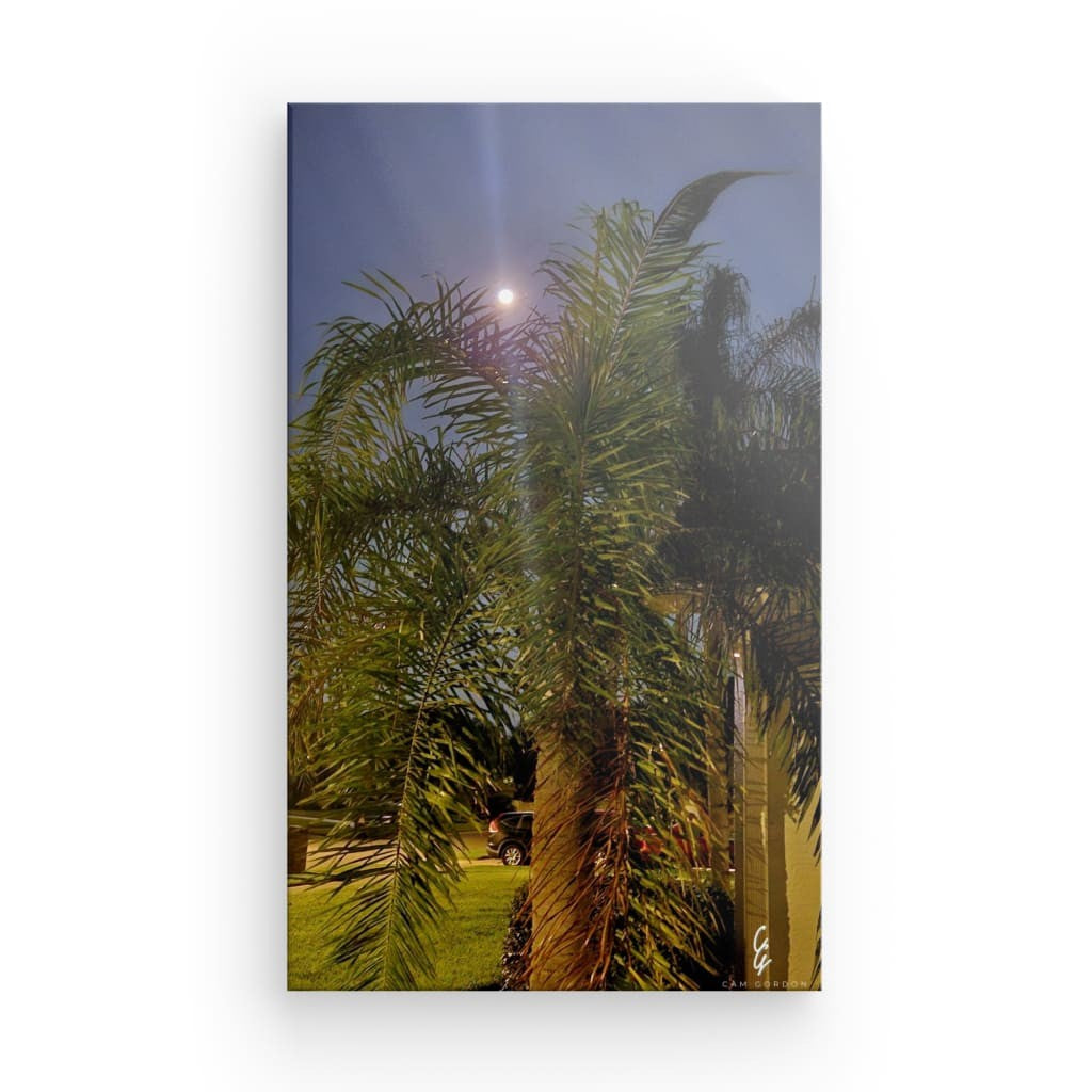 MP.24.022 Canvas