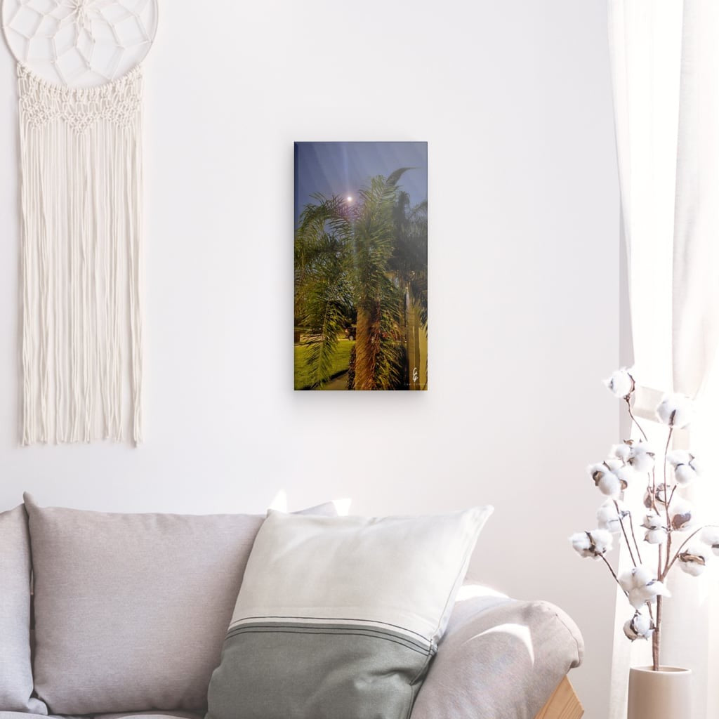 MP.24.022 Canvas