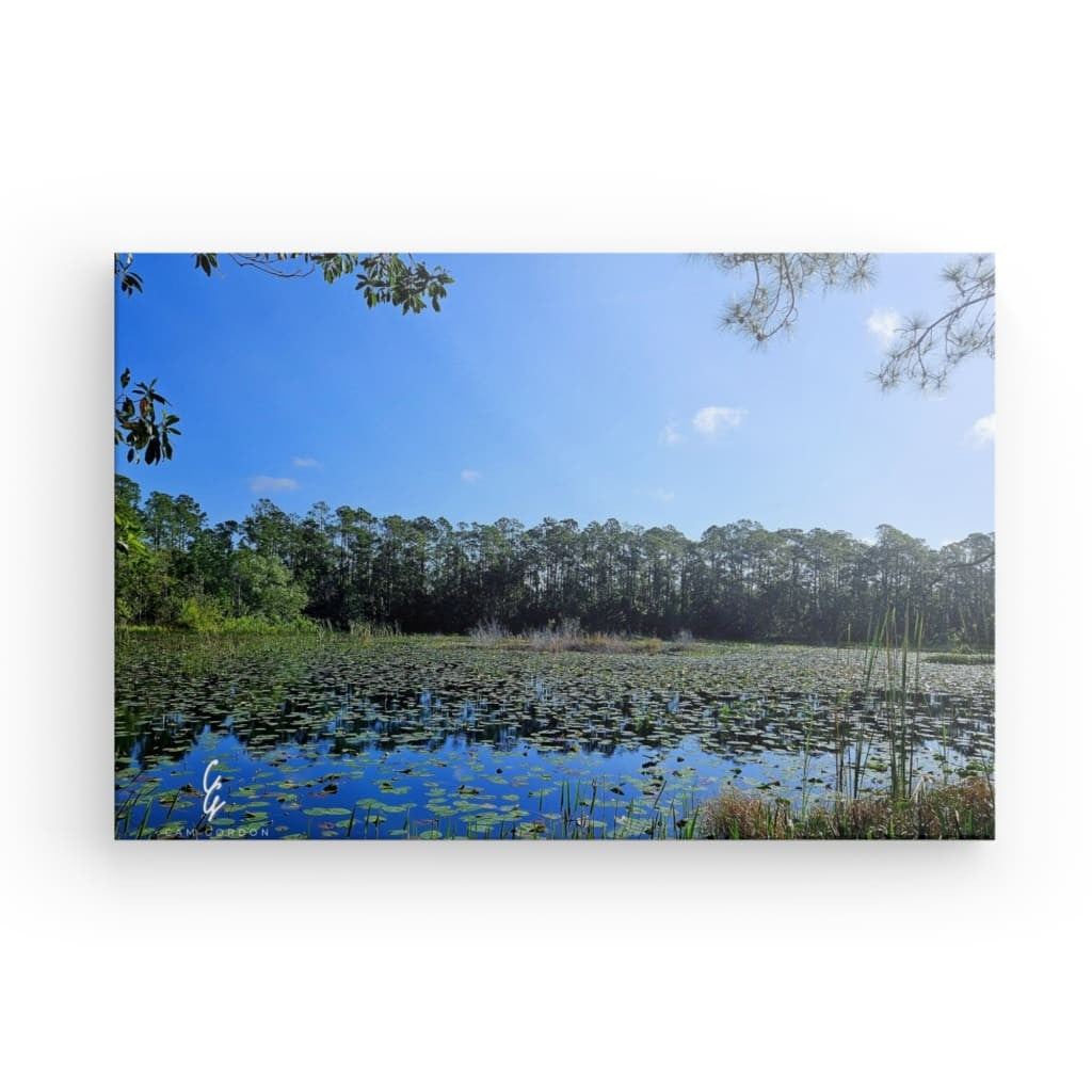 PW.24.023 Canvas