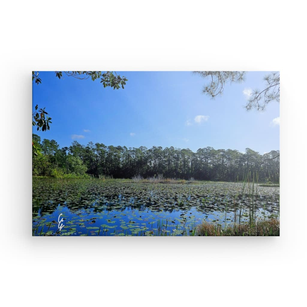 PW.24.023 Canvas