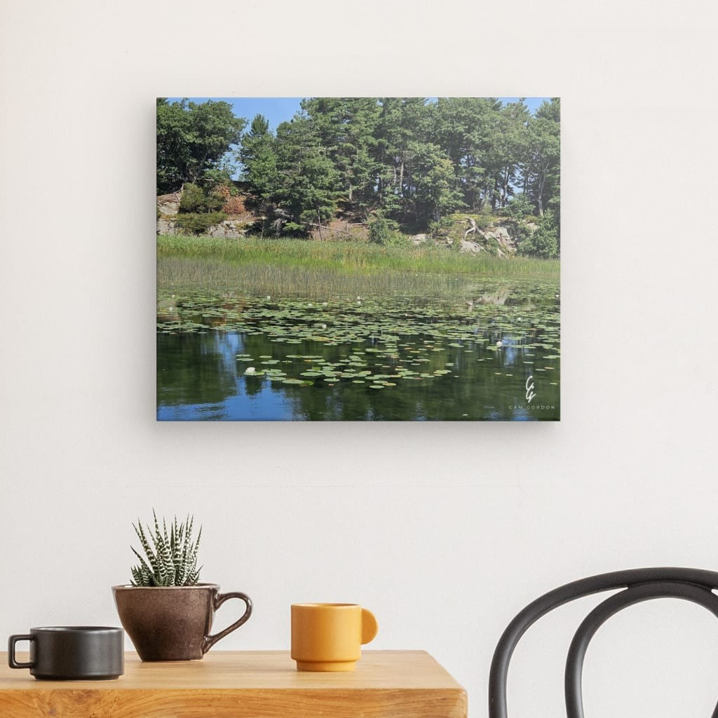 PW.24.025 Canvas