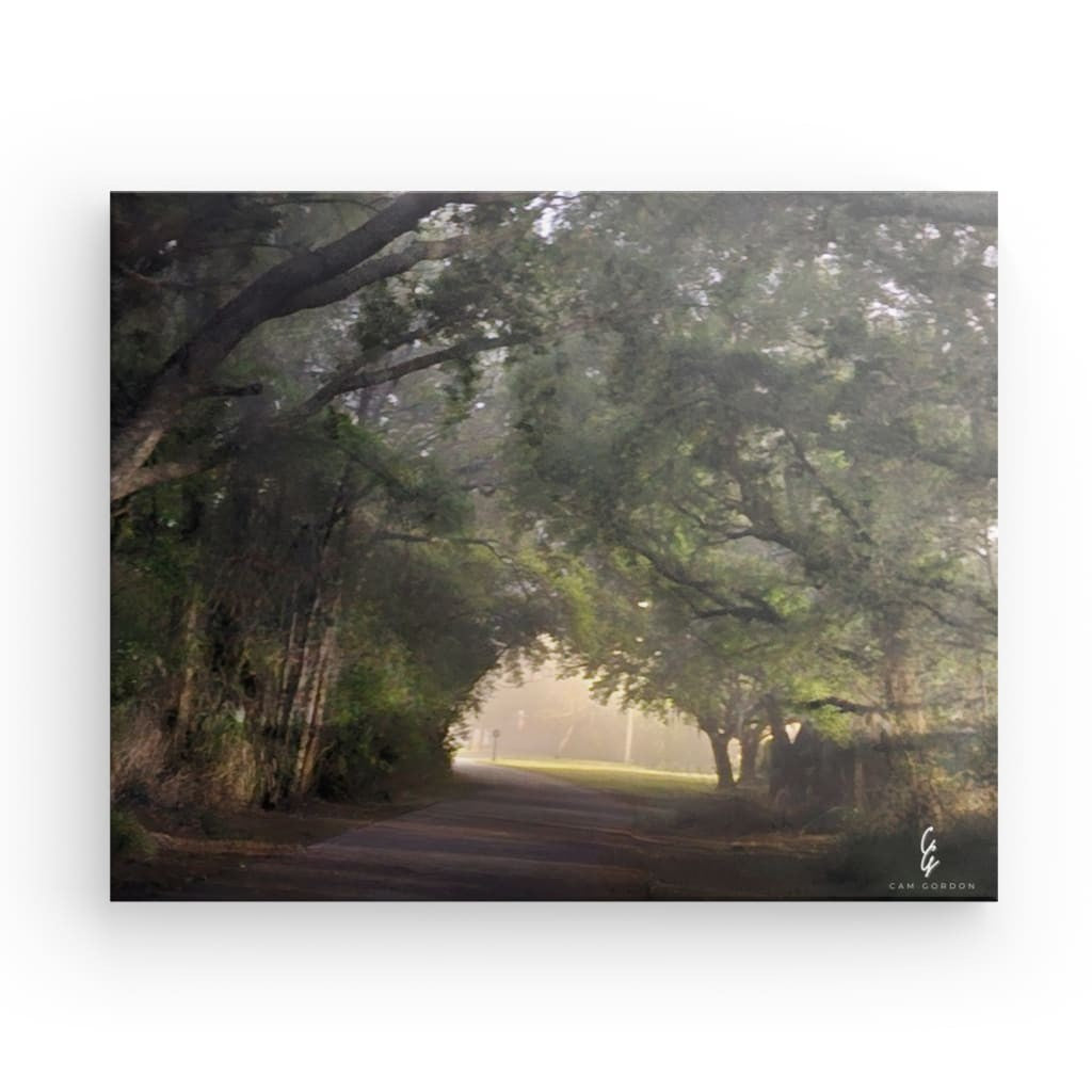 RM.24.011 Canvas