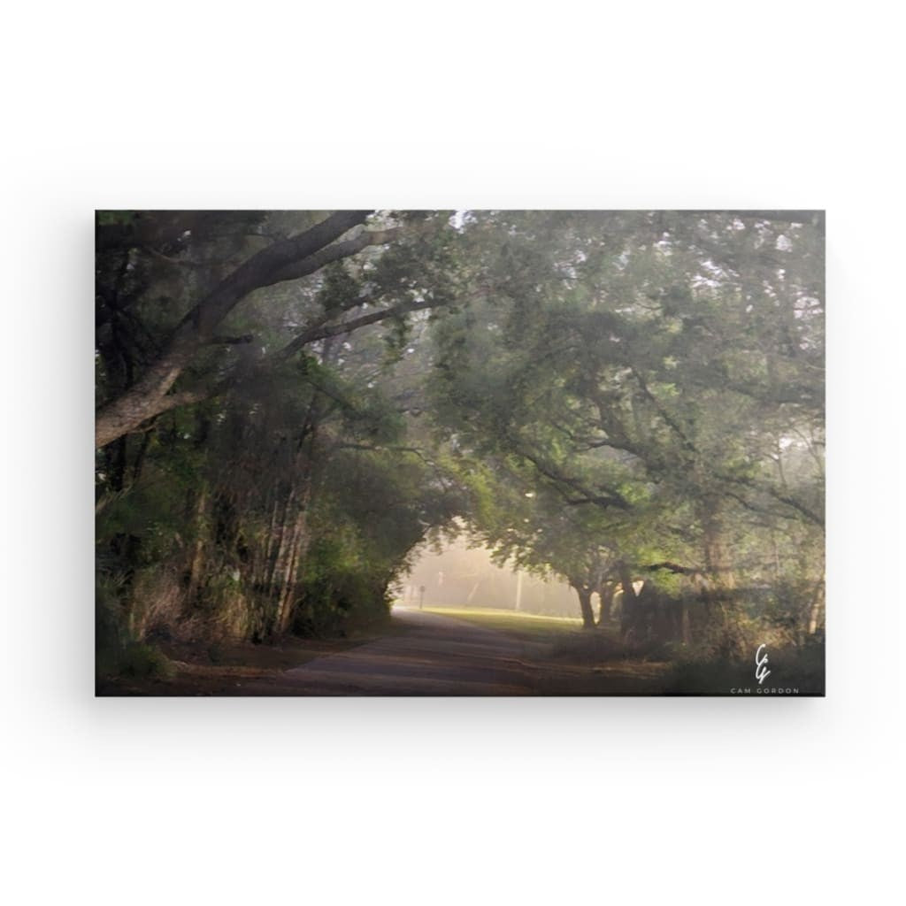 RM.24.011 Canvas