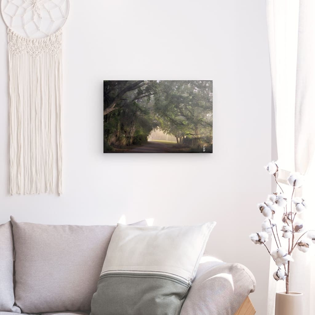 RM.24.011 Canvas