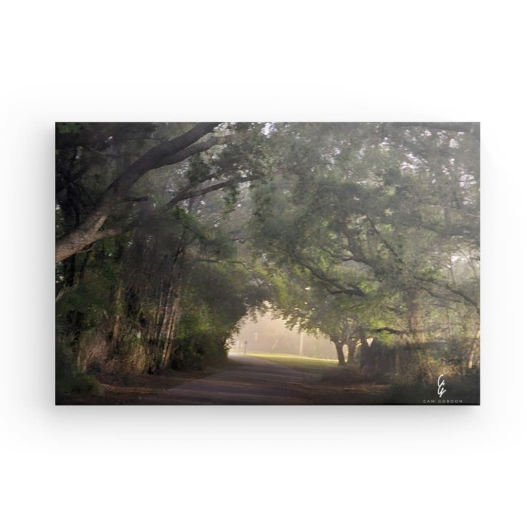 RM.24.011 Canvas