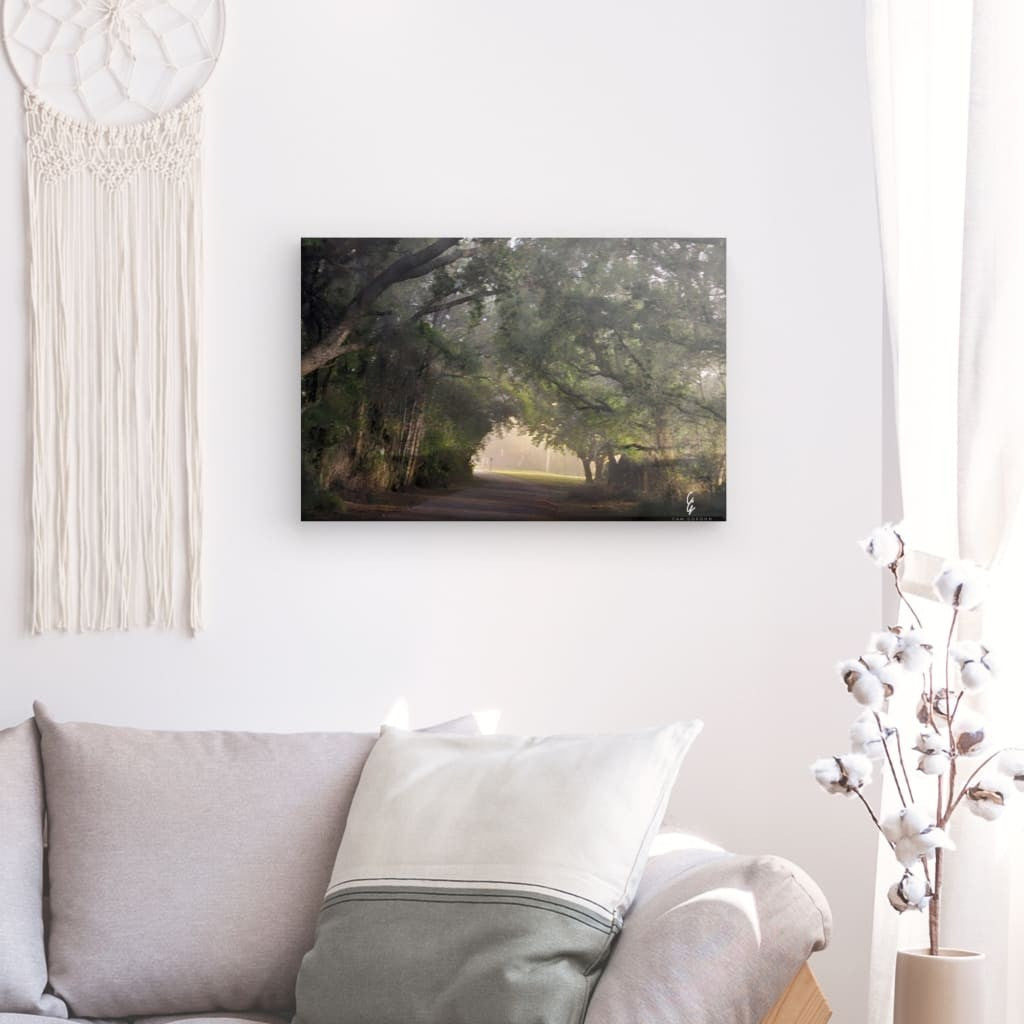 RM.24.011 Canvas