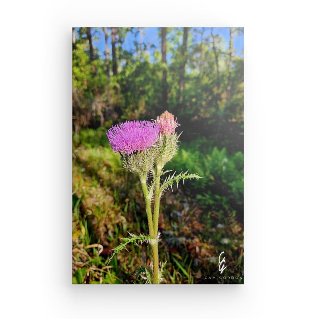 RM.24.012 Canvas