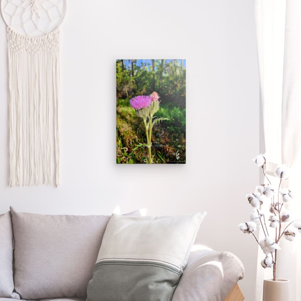 RM.24.012 Canvas