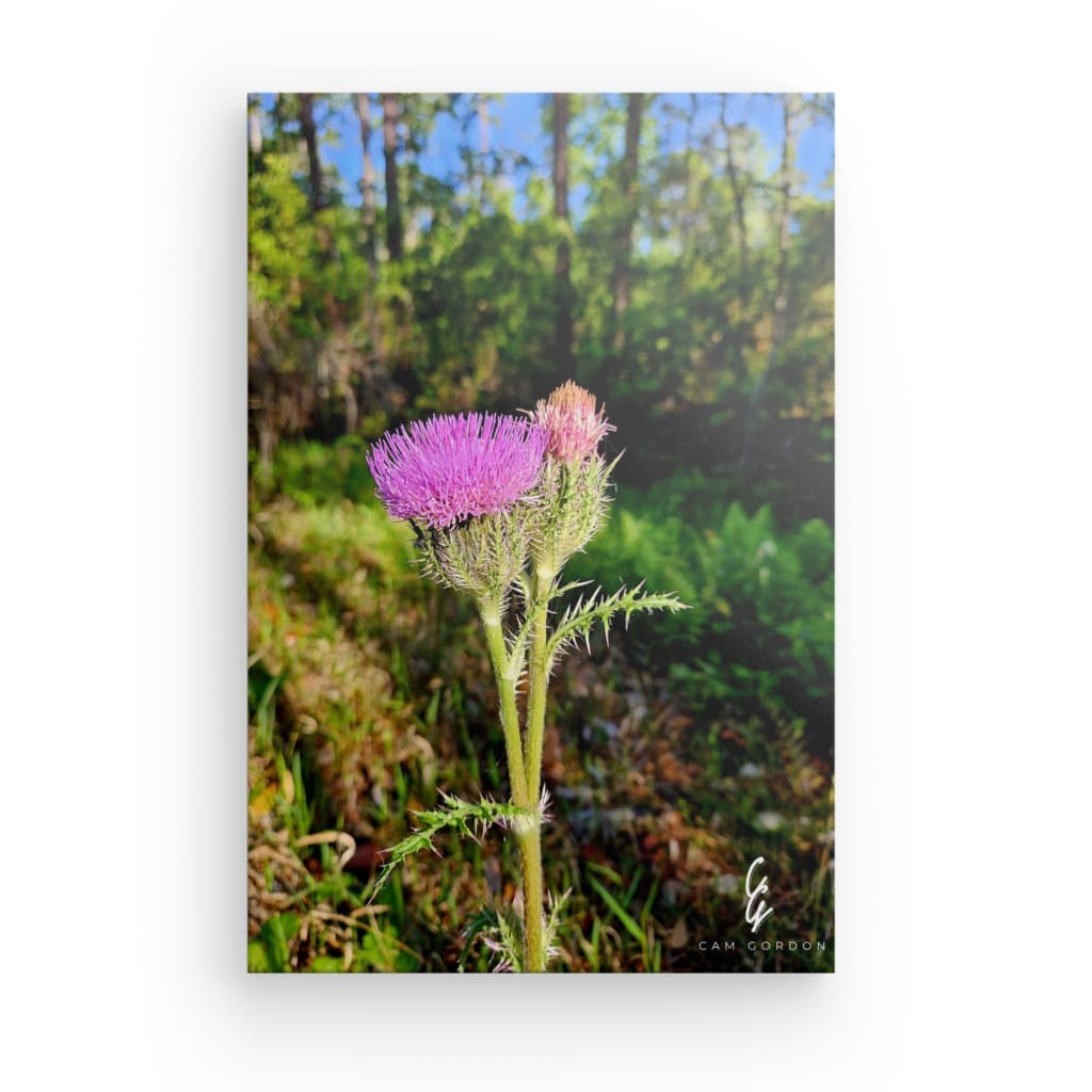 RM.24.012 Canvas
