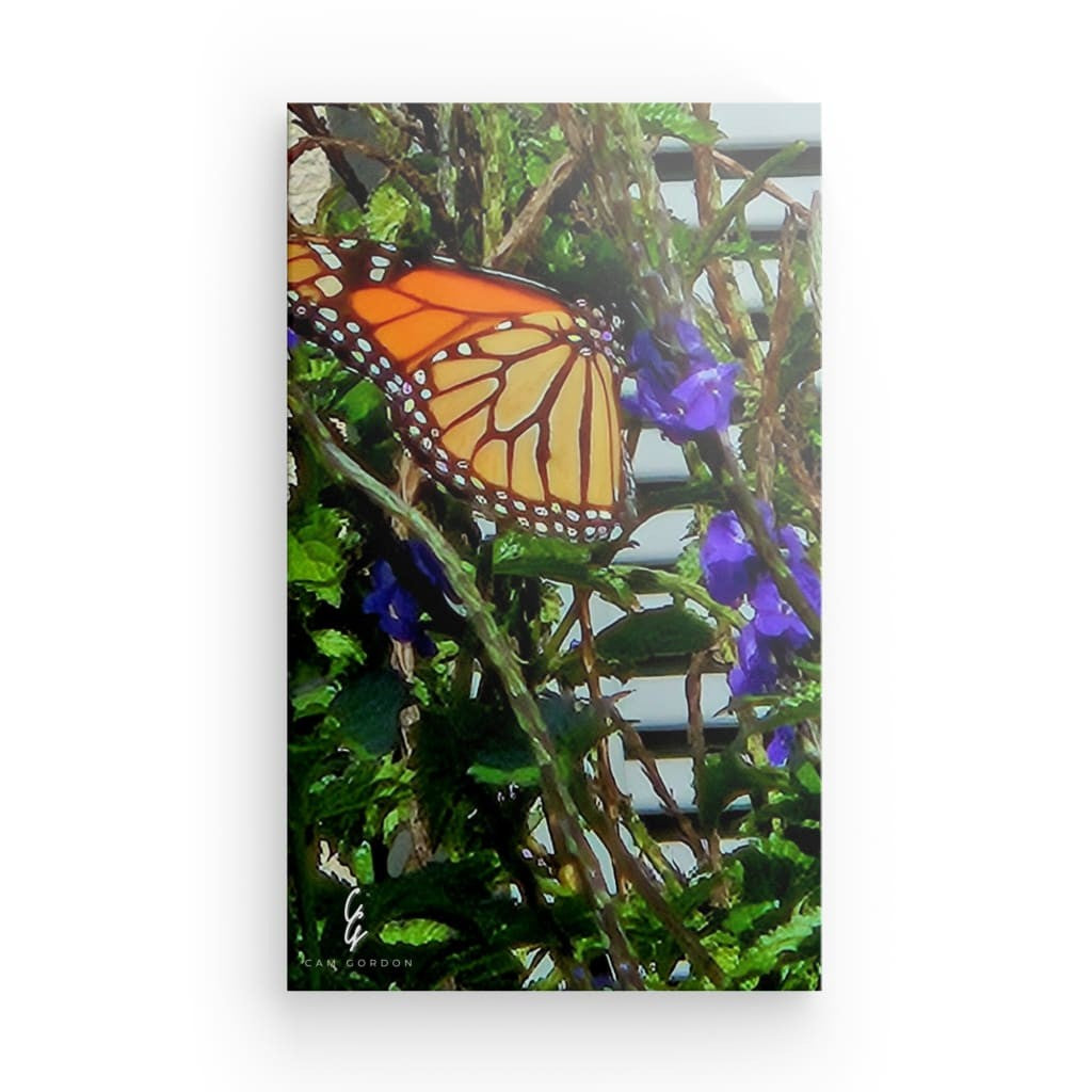 RM.24.014 Canvas