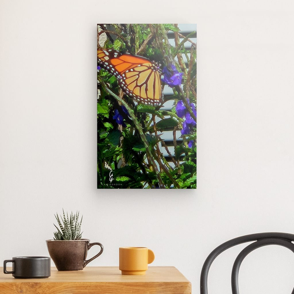 RM.24.014 Canvas